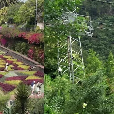 Welcoming House In With Garden Of 269 M² * Santa Cruz (Madeira)